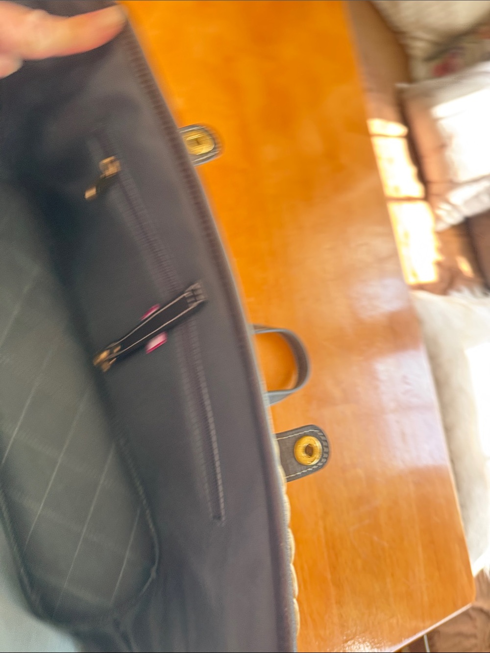 Woven Straw Pet CarryTote with Black Trim and Gold Accents - Picture 4 of 12